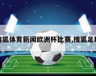 搜狐体育新闻欧洲杯比赛,搜狐足球